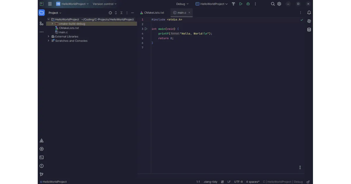 Project Structure Image showing the initial project structure of a C project in CLion